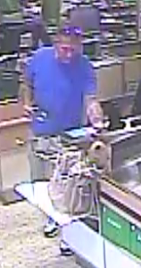 Publix credit card fraud suspect